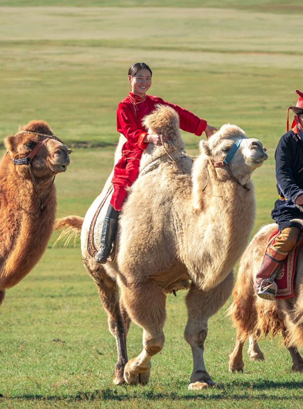 af1b7b_870924f547114155bc56e95ce35d7449~mv2